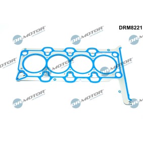 Compre Junta, cabeça do motor da DR.MOTOR AUTOMOTIVE DRM8221 a um preço baixo por 33,69 €