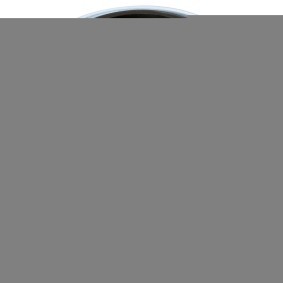 Kraftstofffilter CF0479 von Castrol filters günstig für 17,97 € online kaufen