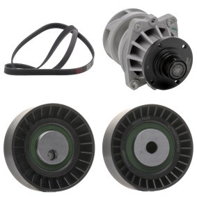 Wasserpumpe + Keilrippenriemensatz 4172P0022P von RIDEX PLUS günstig für 87,97 € online kaufen
