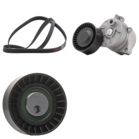 Keilrippenriemensatz 542R0913P von RIDEX PLUS günstig für 76,97 € online kaufen