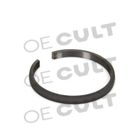 Synchronring, Schaltgetriebe OEC-P00373 PORSCHE von OE CULT