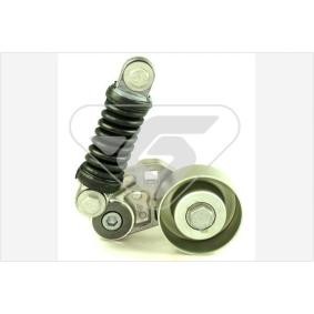 Spannrolle, Keilrippenriemen T1009 von HUTCHINSON günstig für 115,24 € online kaufen