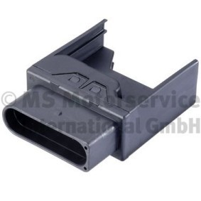 Steuergerät, Kraftstoffpumpe 7.07796.24.0 von PIERBURG günstig für 147,88 € online kaufen