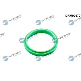 Compre Retentor, tubo do ar de sobrealimentação da DR.MOTOR AUTOMOTIVE DRM02670 a um preço baixo por 7,35 €