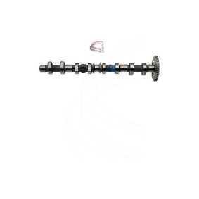 Nockenwelle CP11919 von CAMPRO günstig für 167,13 € online kaufen