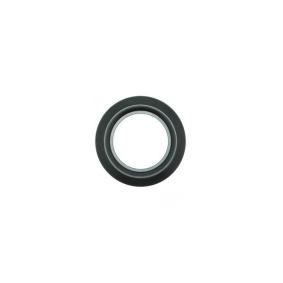 Ausrücklager BS-011 von AISIN günstig für 27,44 € online kaufen