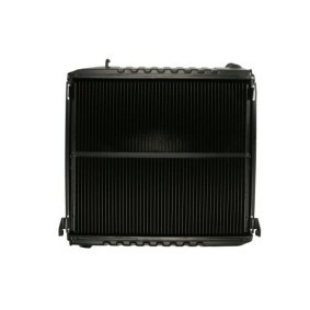 Kühler, Motorkühlung D7P049TT von THERMOTEC günstig für 83,45 € online kaufen