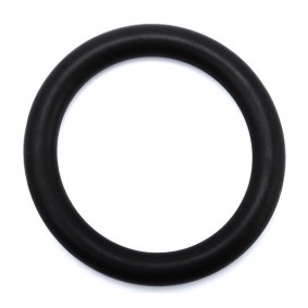 Comprar Junta, colector de admisión de AJUSA 16072500 a bajo precio de 2,51 €