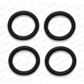 Acquista Kit guarnizioni, Collettore aspirazione da PAYEN HA5029 a buon mercato per soli 5,29 €