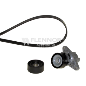 Compre Jogo de correias trapezoidais estriadas da FLENNOR F905PK1750 a um preço baixo por 37,36 €