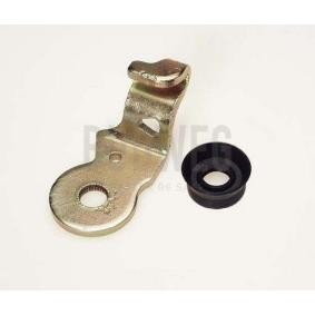 Achetez des Kit de réparation, levier de frein de stationnement (étrier) BUDWEG CALIPER 209907 à prix pour 20,51 €