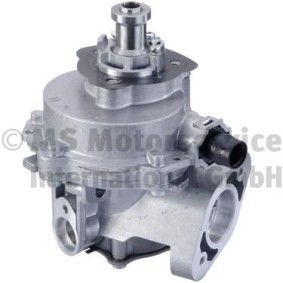 Kraftstoffpumpe 7.50138.00.0 von PIERBURG günstig für 153,42 € online kaufen