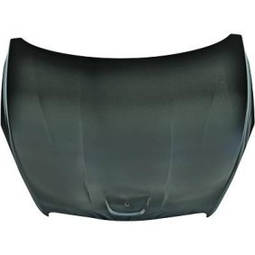 Compre Capô de DIEDERICHS online para 508 I (8D_) Sedan a preços moderados