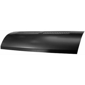 Comprar Capó de DIEDERICHS 3484000 a bajo precio de 160,72 €