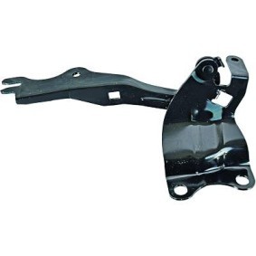 Comprar Bisagra, capó del motor de DIEDERICHS 5619019 a bajo precio de 23,31 €
