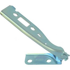 Acquista Cerniera, Cofano motore da DIEDERICHS 1404019 a buon mercato per soli 21,89 €