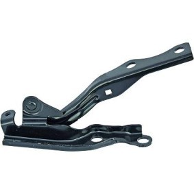 Compre Dobradiça, capot do motor da DIEDERICHS 5604018 a um preço baixo por 56,33 €