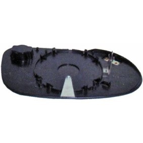 Spiegelglas, Außenspiegel 1680427 von DIEDERICHS günstig für 25,18 € online kaufen