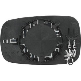 Spiegelglas, Außenspiegel 4464229 von DIEDERICHS günstig für 20,28 € online kaufen