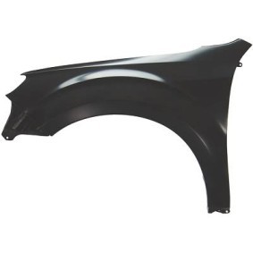 Kotflügel 6242007 von DIEDERICHS günstig für 63,04 € online kaufen