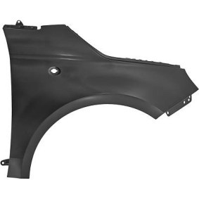 Compre Guarda-lamas de DIEDERICHS online para 500 / 595 / 695 Hatchback (312_) a preços moderados