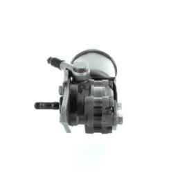 Achetez des Pompe de direction assistée de chez SPIDAN en ligne pour SUNNY II Hatchback (N13) à prix modérés