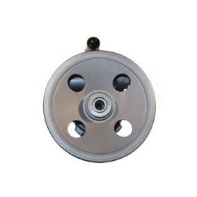 Servopumpe 54416 von SPIDAN günstig für 275,00 € online kaufen