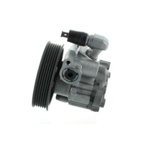 Servopumpe 54588 von SPIDAN günstig für 258,47 € online kaufen