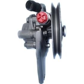 Compre Bomba de direção da SPIDAN 53860 a um preço baixo por 307,60 €