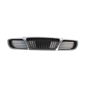 Compre Grelha de radiador da BLIC 6502-07-1106990P a um preço baixo por 32,62 €