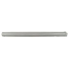 Schweller 6505-06-2509002P FORD von BLIC