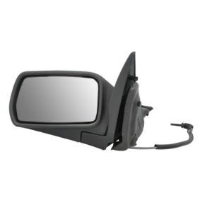 Außenspiegel 5402-04-1112355P von BLIC günstig für 47,05 € online kaufen