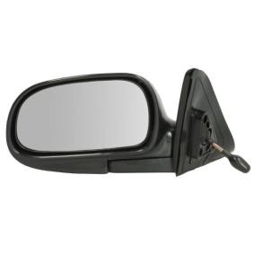 Außenspiegel 5402-04-1121574P von BLIC günstig für 56,93 € online kaufen