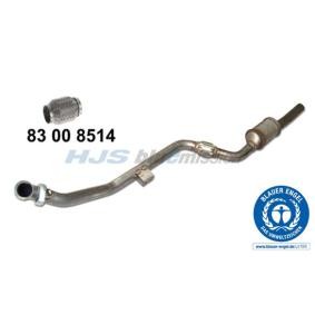 Katalysator 96 13 3010 von HJS günstig für 630,55 € online kaufen