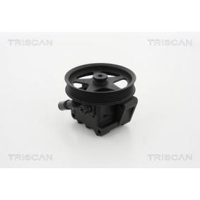 Acquista Pompa idraulica, sterzo da TRISCAN 8515 10621 a buon mercato per soli 292,35 €