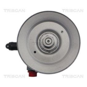 Servopumpe für NISSAN von TRISCAN