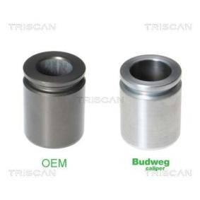 Acquista Pistoncino pinza freno da TRISCAN 8170 233517 a buon mercato per soli 25,43 €