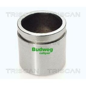 Acquista Pistoncino pinza freno da TRISCAN 8170 234860 a buon mercato per soli 25,29 €