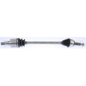 Dichtungssatz, Kurbelgehäuse 595-1762 von TRISCAN günstig für 145,69 € online kaufen