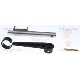 Dichtungssatz, Kurbelgehäuse 595-4238 von TRISCAN günstig für 37,80 € online kaufen