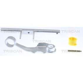 Dichtungssatz, Kurbelgehäuse 595-4239 von TRISCAN günstig für 54,93 € online kaufen