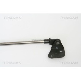 Bremsscheibe für RENAULT von TRISCAN