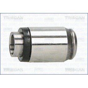 Hydrostößel für PEUGEOT von TRISCAN