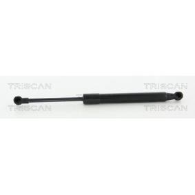 Heckklappendämpfer 8710 25268 von TRISCAN günstig für 13,77 € online kaufen