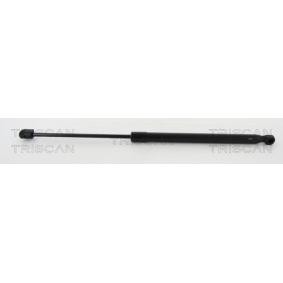 Heckklappendämpfer 8710 18237 von TRISCAN günstig für 45,06 € online kaufen