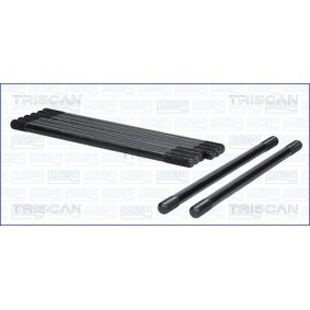 Zylinderkopfschraubensatz 98-1011 von TRISCAN günstig für 73,15 € online kaufen