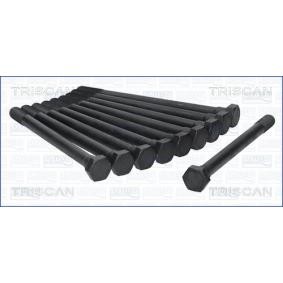 Zylinderkopfschraubensatz 98-1700 von TRISCAN günstig für 37,03 € online kaufen