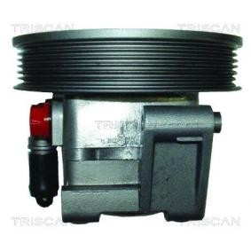 Acquista Pompa idraulica, sterzo da TRISCAN 8515 18618 a buon mercato per soli 351,40 €