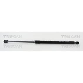 Heckklappendämpfer 8710 24247 von TRISCAN günstig für 17,38 € online kaufen
