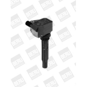 Kühlerlüfter LE025 von BERU günstig für 96,24 € online kaufen